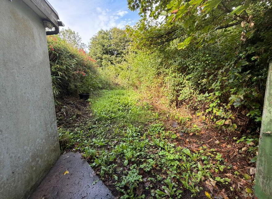 Island Road, Newmarket, P51T8K6
