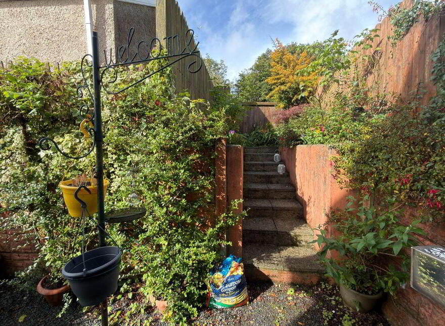 Island Road, Newmarket, P51K2R0