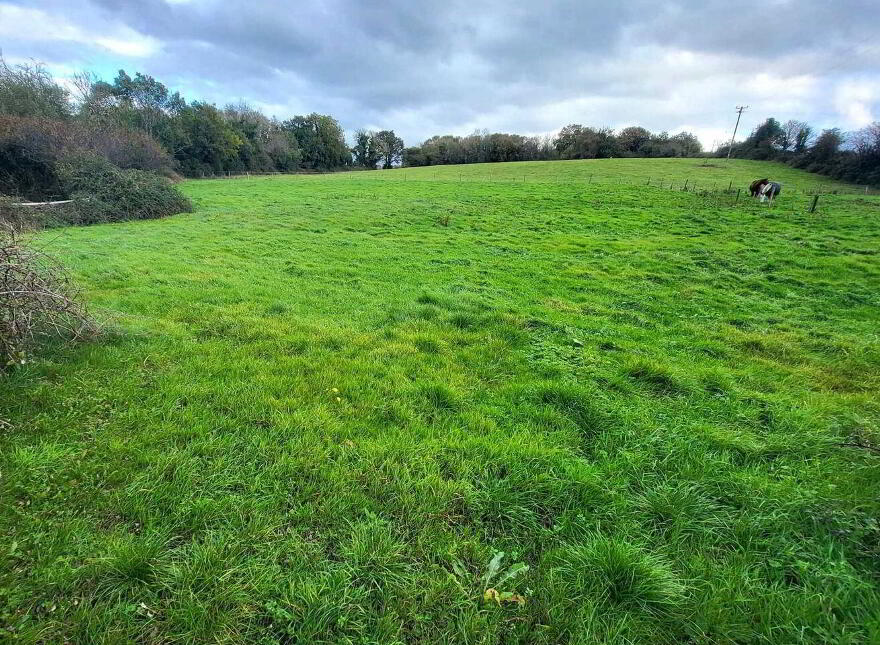 Cloonoolia, Mountshannon photo