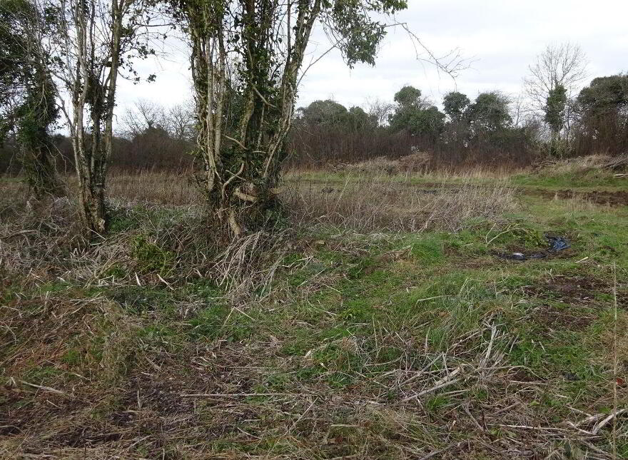 Gardenham, Claregalway
