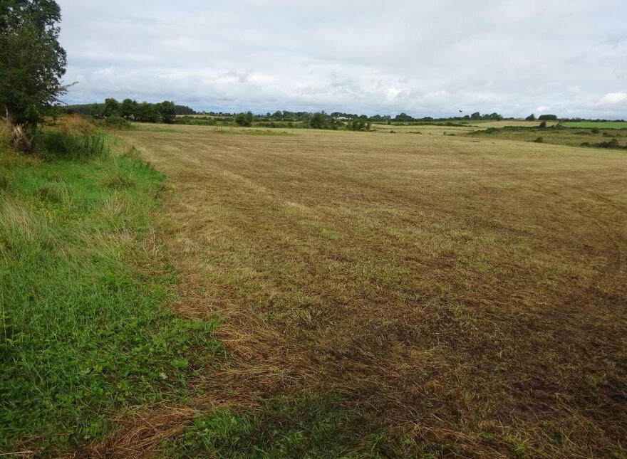 Carrowroe West, Brownsgrove, Tuam, H54X983
