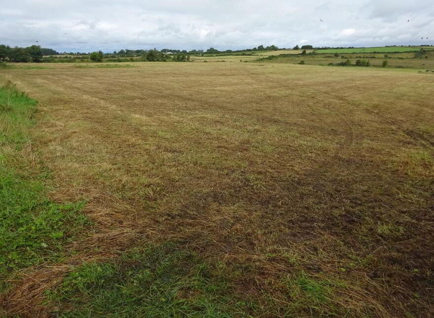 Carrowroe West, Brownsgrove, Tuam, H54X983