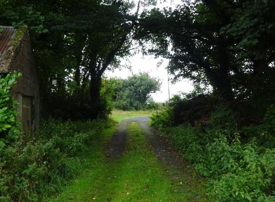 Carrowroe West, Brownsgrove, Tuam, H54X983