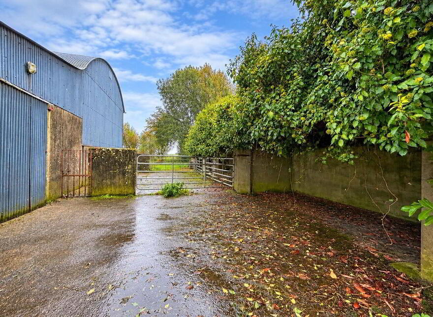 Carrowroe West, Brownsgrove, Tuam, H54X983