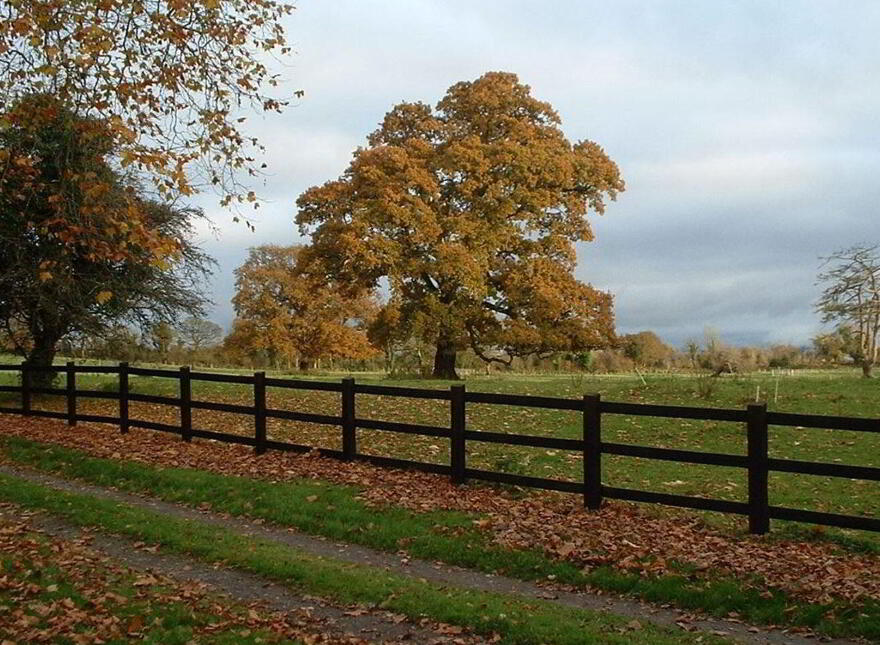 Castle Ffrench, Ballinamore Bridge, H53X274