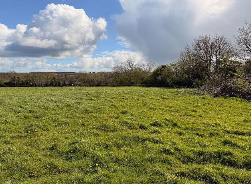 Boley, Ballycullane photo
