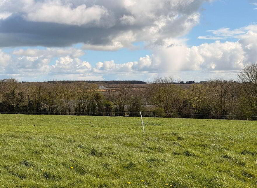 Boley, Ballycullane