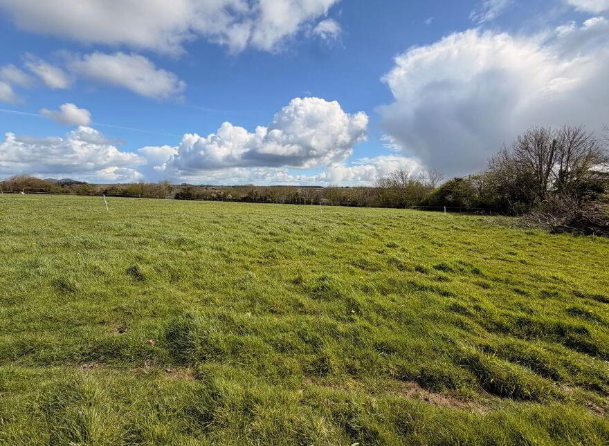 Boley, Ballycullane