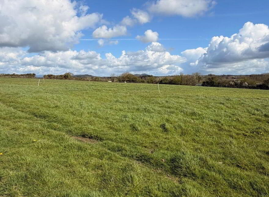Boley, Ballycullane