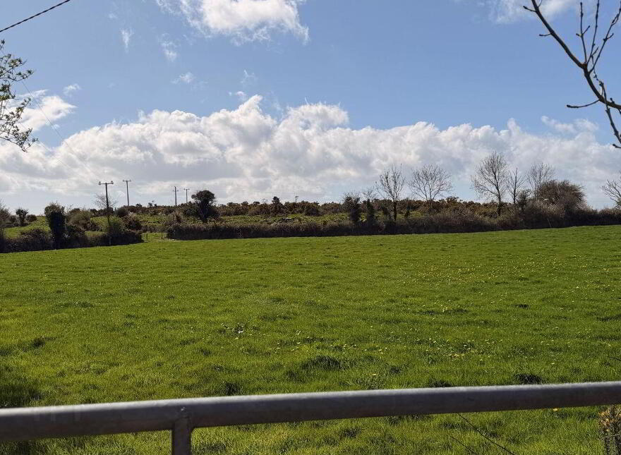 Boley, Ballycullane photo
