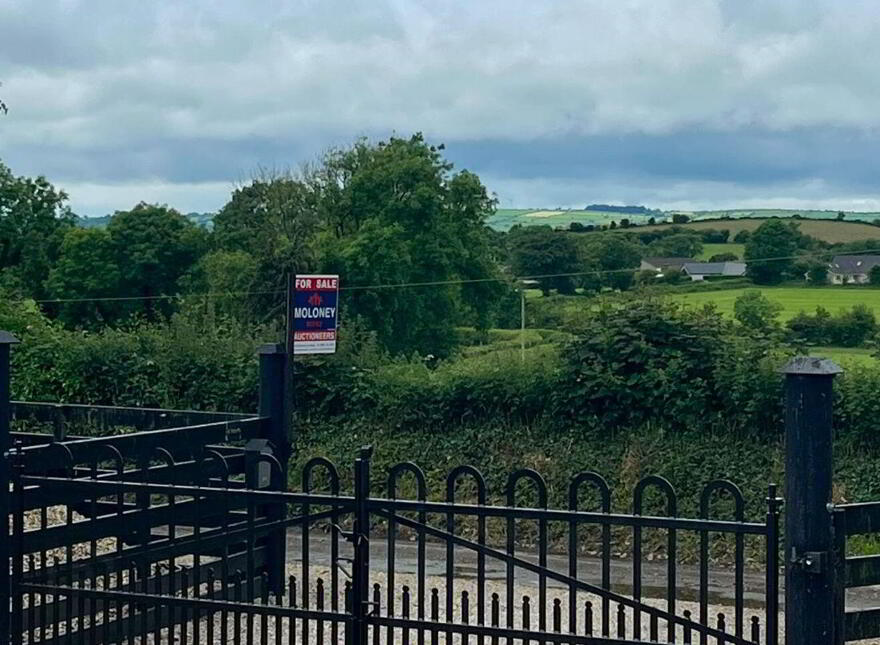 Ballykelly, New Ross, Y34A383