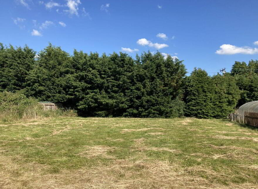 "Dromore", Cabra Road, Ballycurrane, Thurles, E41D370