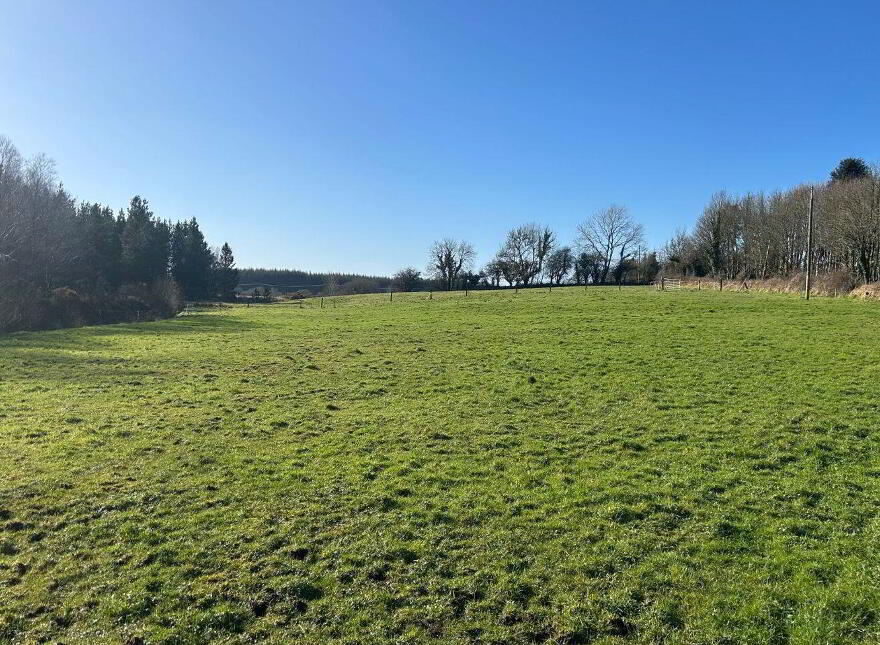 Rusheen, Cloonelt, Castlerea, F45RV08