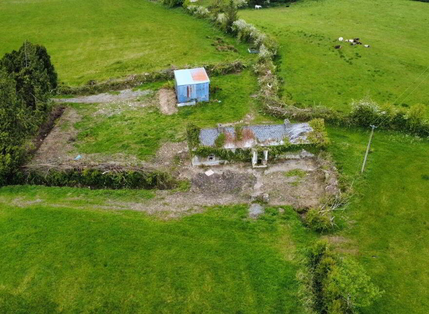 Ardagh, Frenchpark