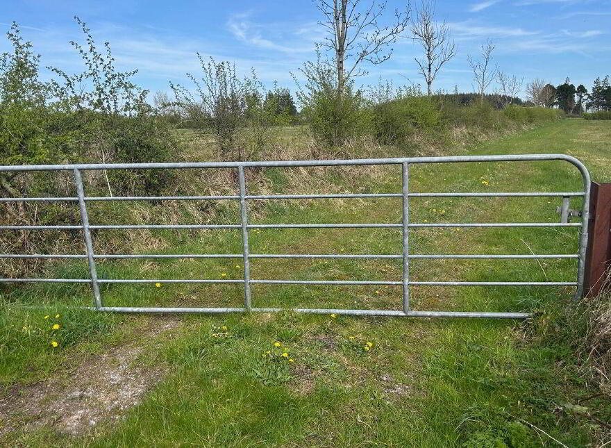 Ardagh, Frenchpark