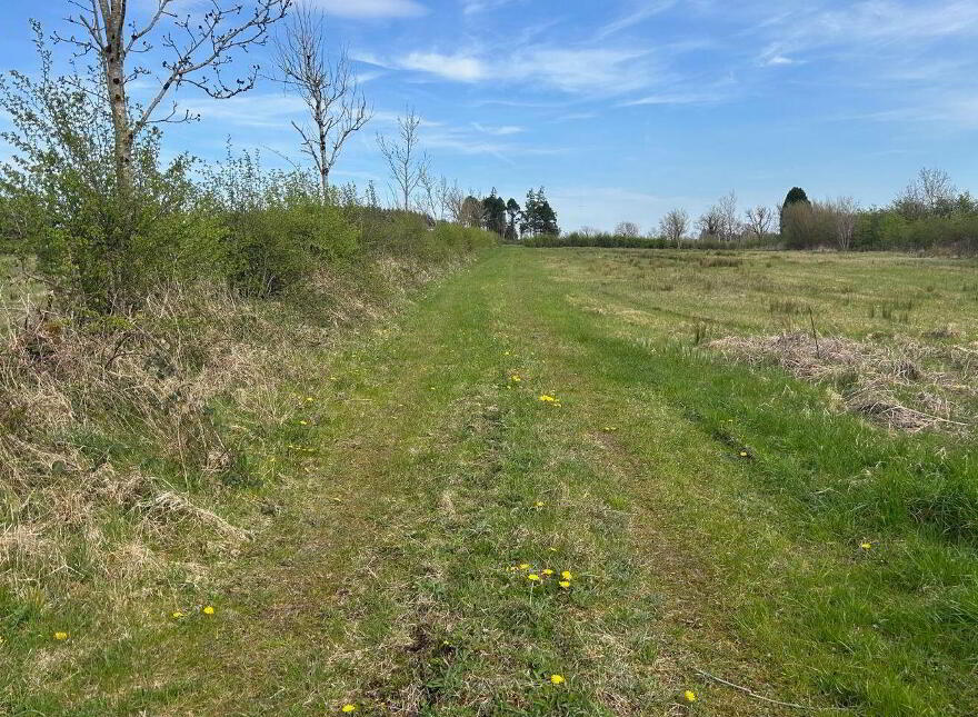 Ardagh, Frenchpark