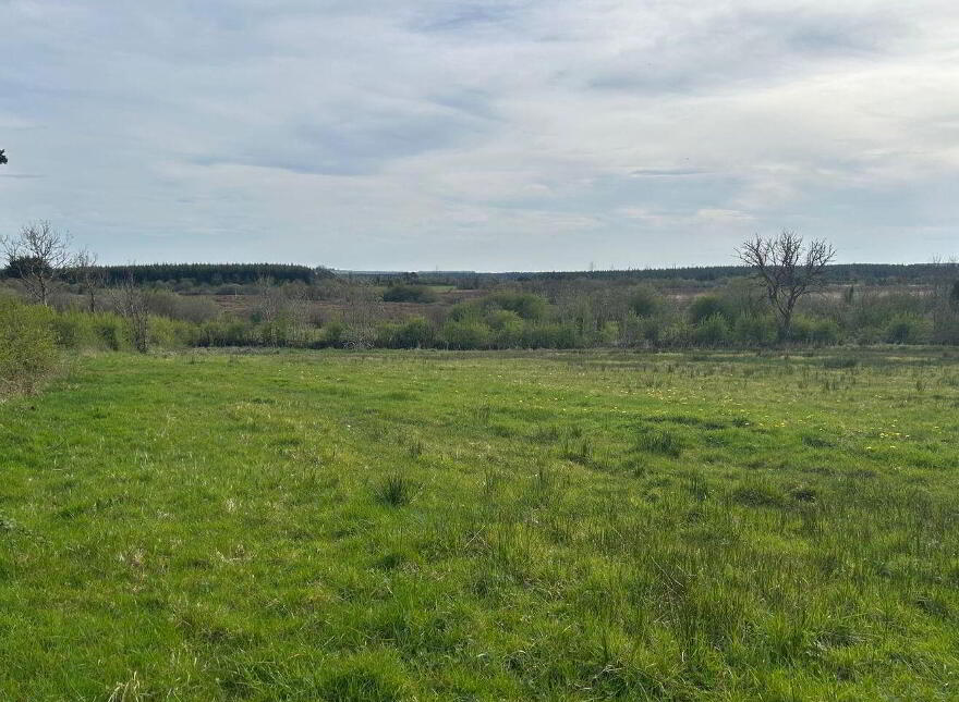 Ardagh, Frenchpark