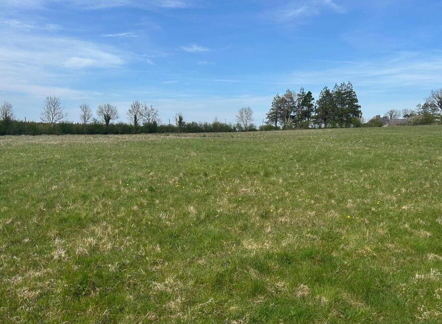 Ardagh, Frenchpark