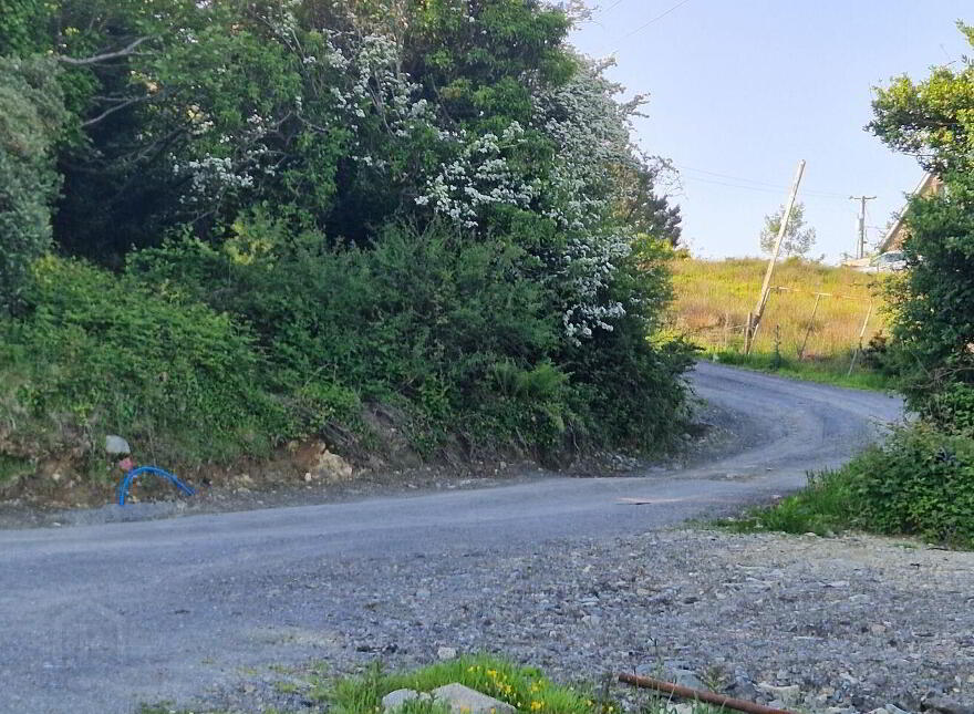 Caherdaniel, Bantry, P75R886
