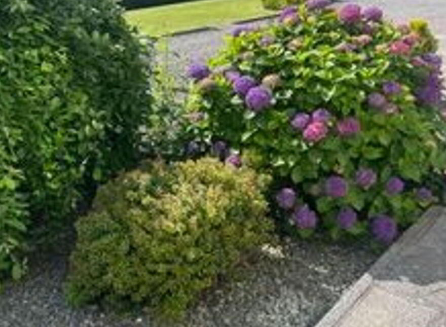 Rocklawn, Skahanagh, Bantry, P75NT29