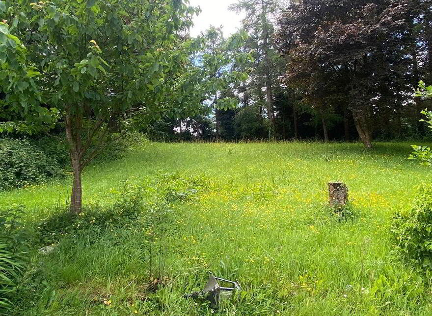Springfield, Castlebar, F23WN80