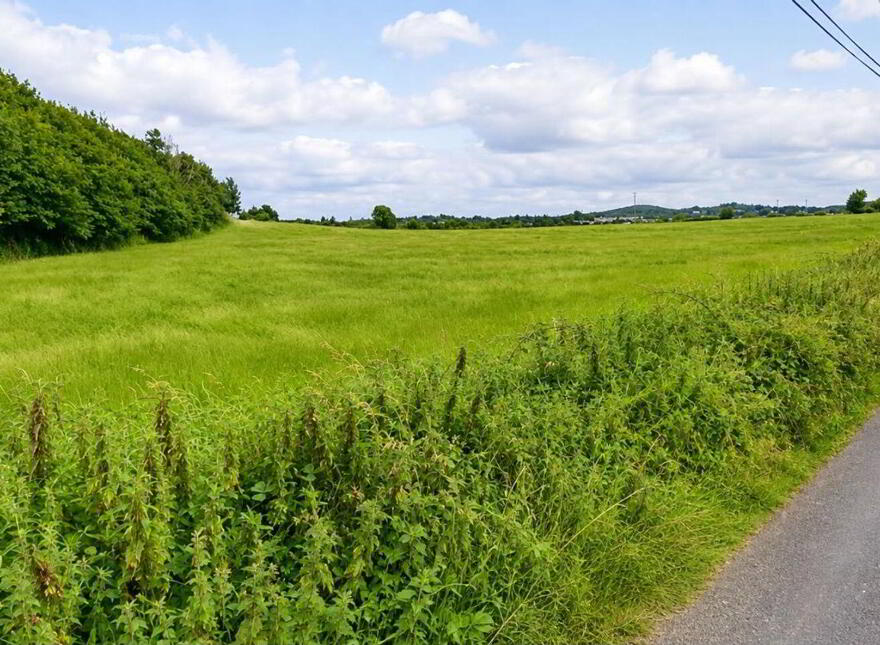 Leagaun, Moycullen
