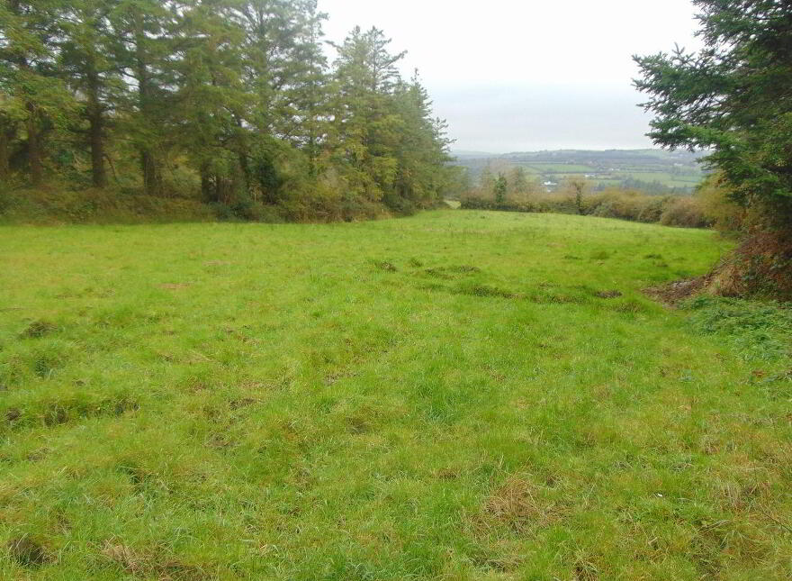 Kilkinlea Upper, Abbeyfeale