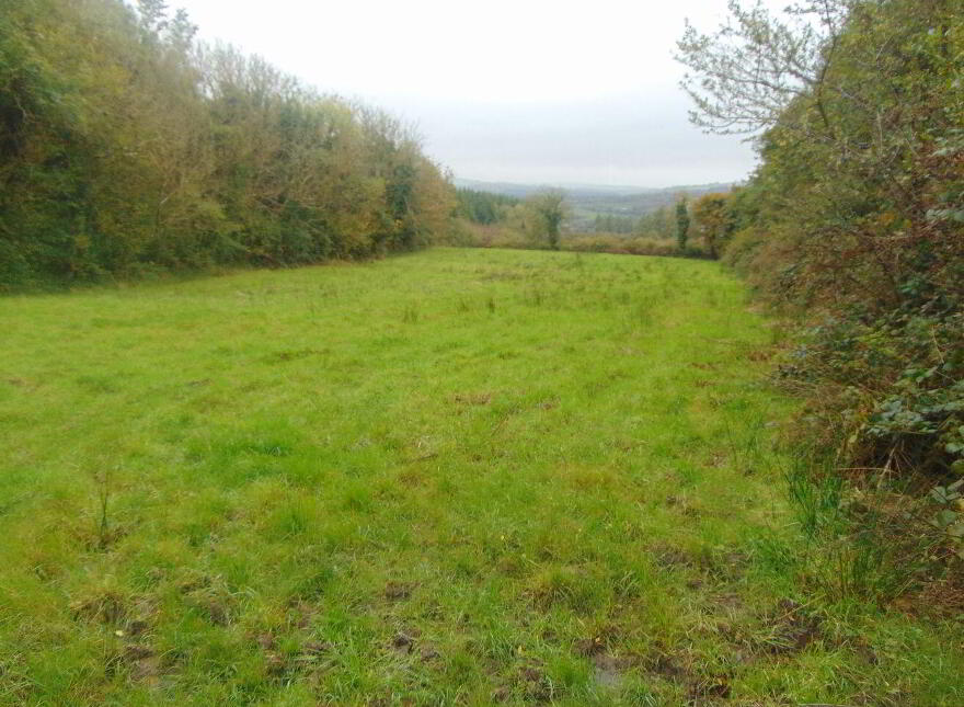 Kilkinlea Upper, Abbeyfeale