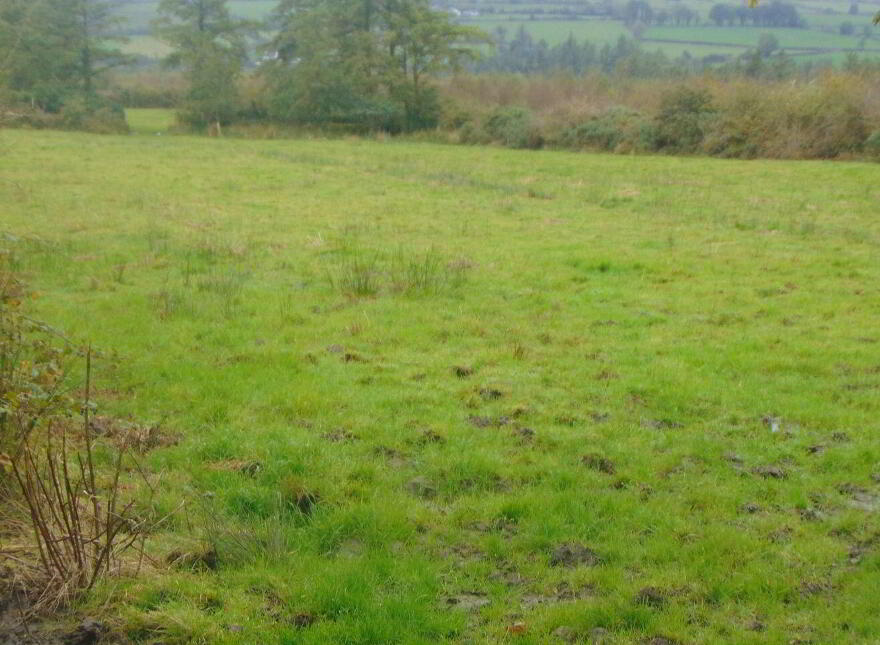 Kilkinlea Upper, Abbeyfeale