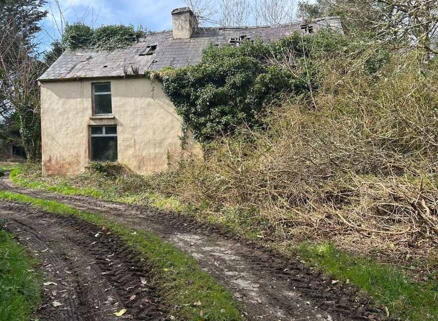 Shrone Beg, Rathmore, P51ED86