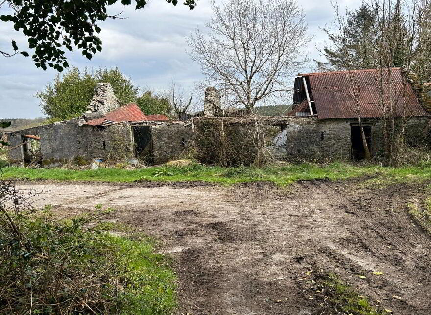 Shrone Beg, Rathmore, P51ED86