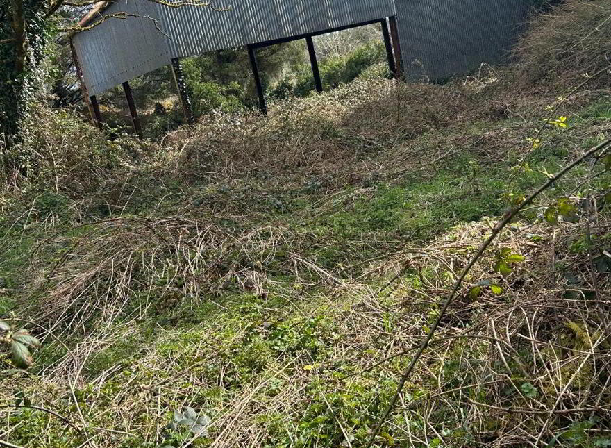 Shrone Beg, Rathmore, P51ED86