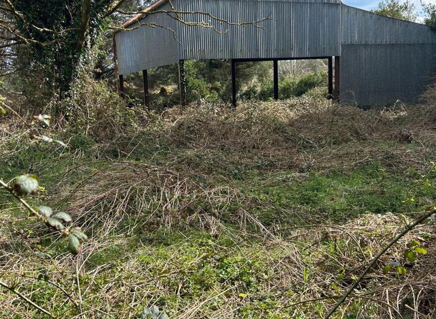Shrone Beg, Rathmore, P51ED86