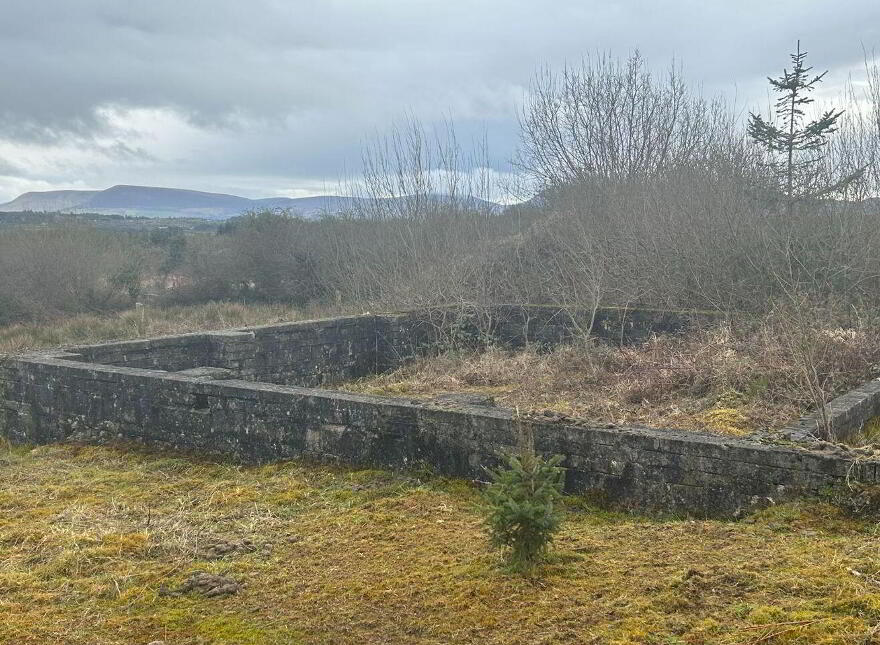 Maulykevane, Killarney photo