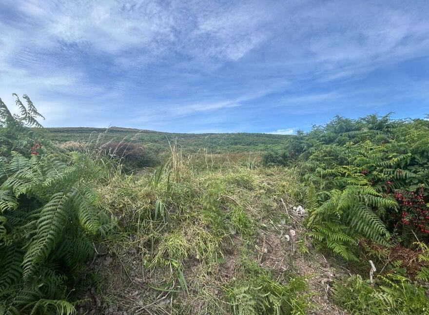 Tinnies Upper, Valentia Island, V23TC78