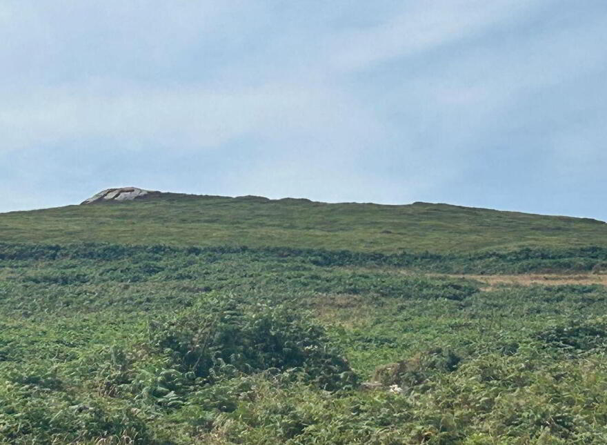 Tinnies Upper, Valentia Island, V23TC78