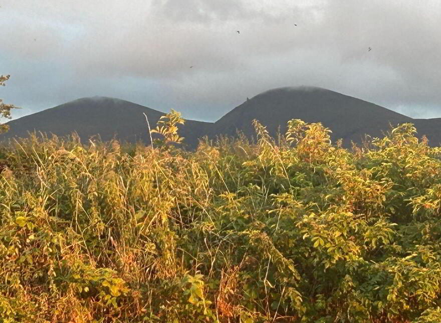 Kilquane, Headford, Killarney, V93C9A0