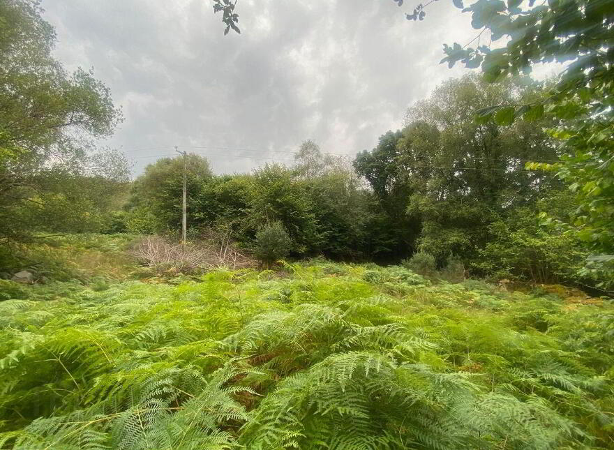 Annagh Beg, Glenflesk, Killarney, V93F992