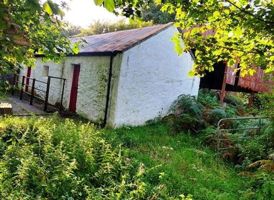 Cushlecka, Mulranny, F28Y985