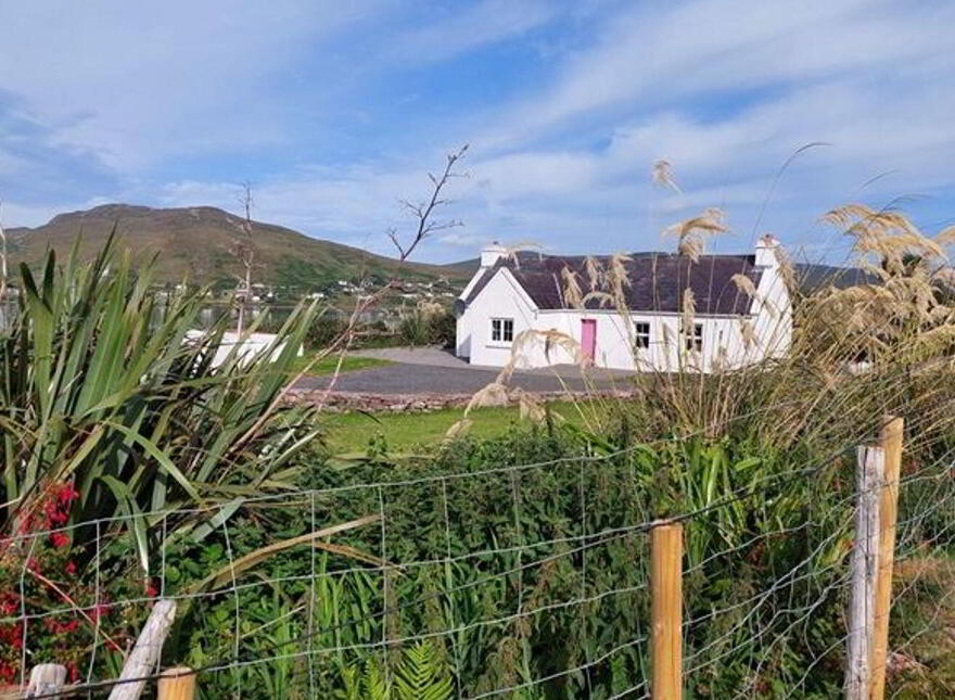 Mweewillin, Currane, Achill, F28K688