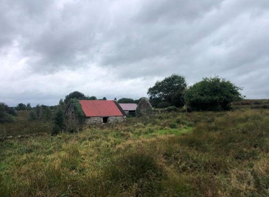 Gortnaheltia, Newport