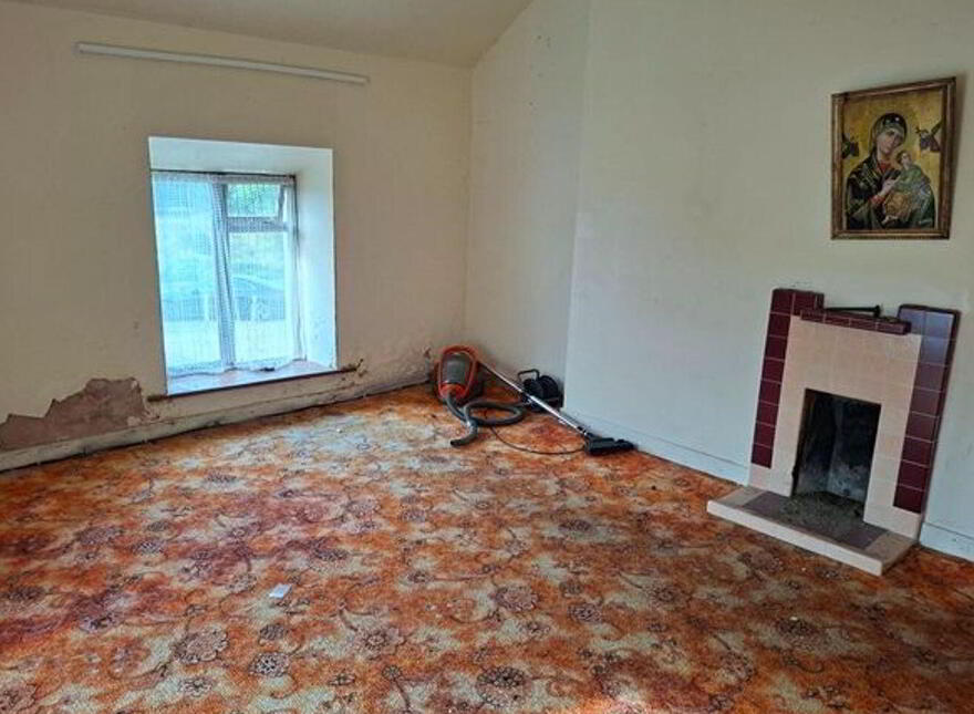 Carrowsallagh, Newport, F28KX95