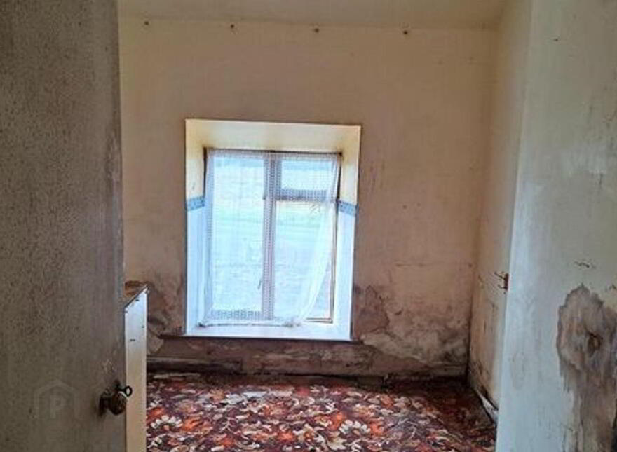 Carrowsallagh, Newport, F28KX95