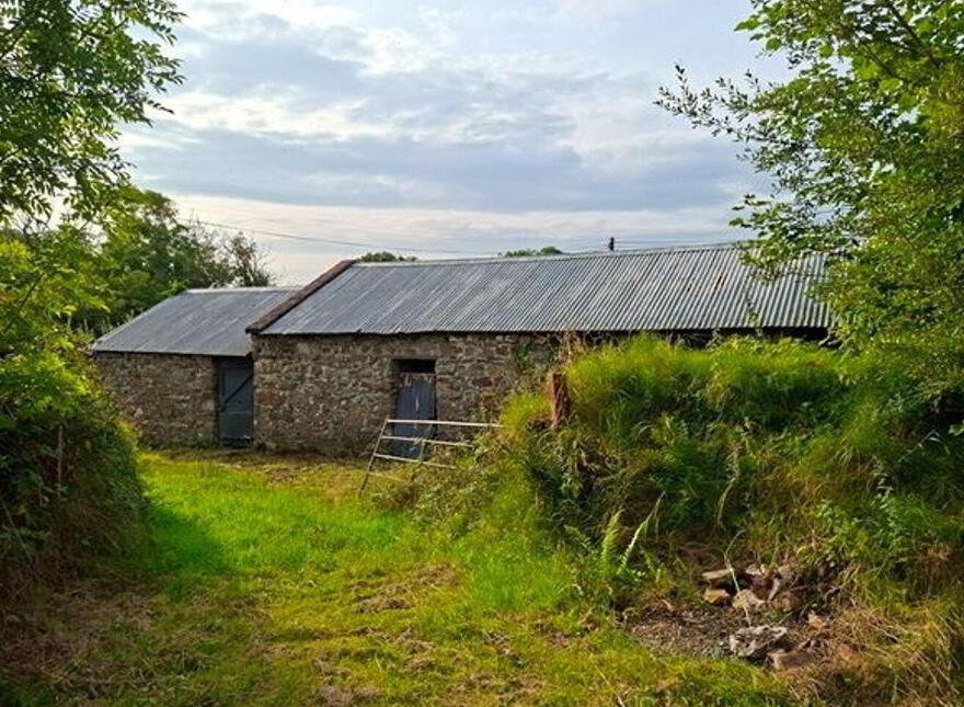 Carrowsallagh, Newport, F28KX95