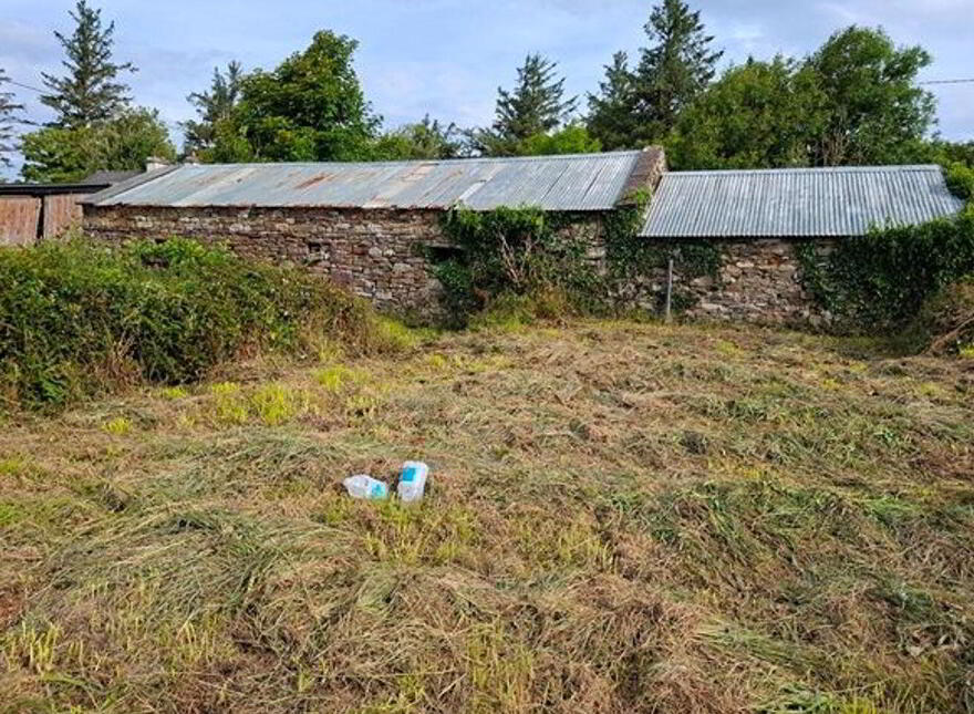 Carrowsallagh, Newport, F28KX95