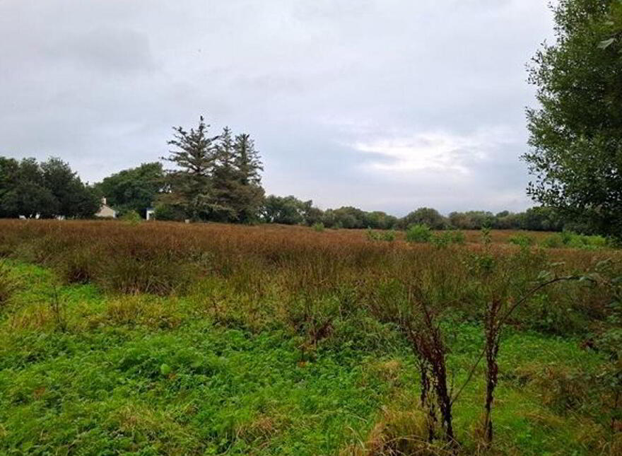 Carrowsallagh, Newport, F28KX95