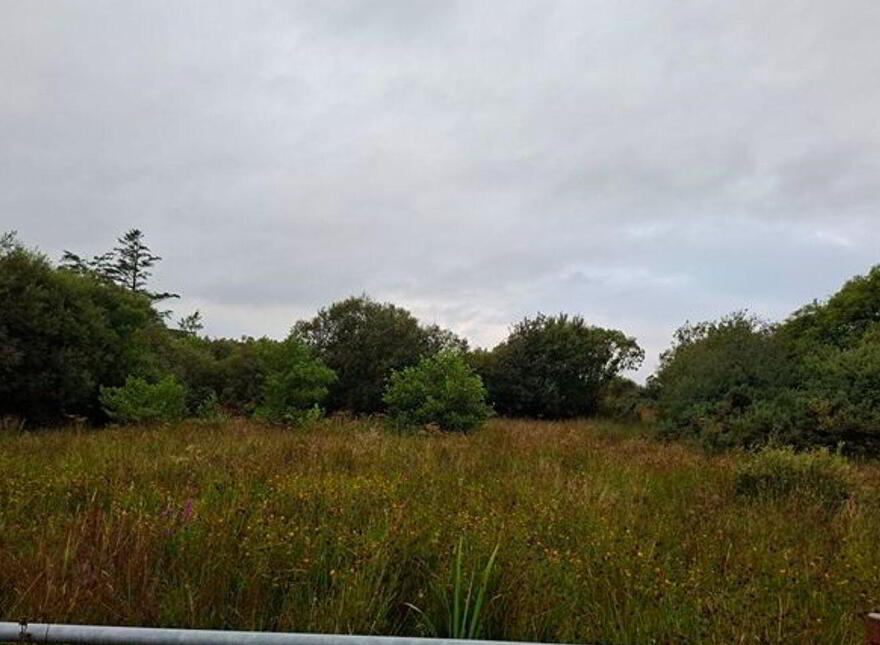 Carrowsallagh, Newport, F28KX95