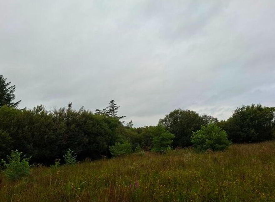 Carrowsallagh, Newport, F28KX95
