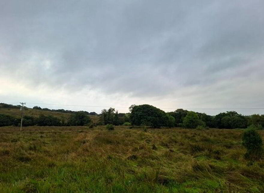 Carrowsallagh, Newport, F28KX95