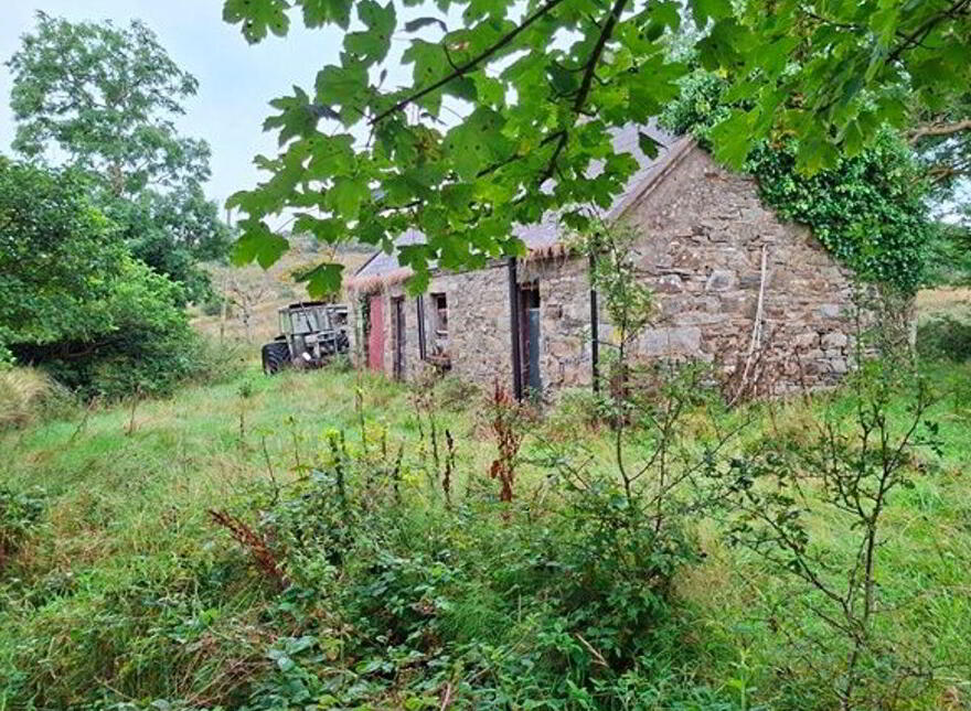 Carrowsallagh, Newport